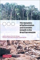 The Economics of Deforestation: Dynamic Modeling of Amazonia артикул 2904e.